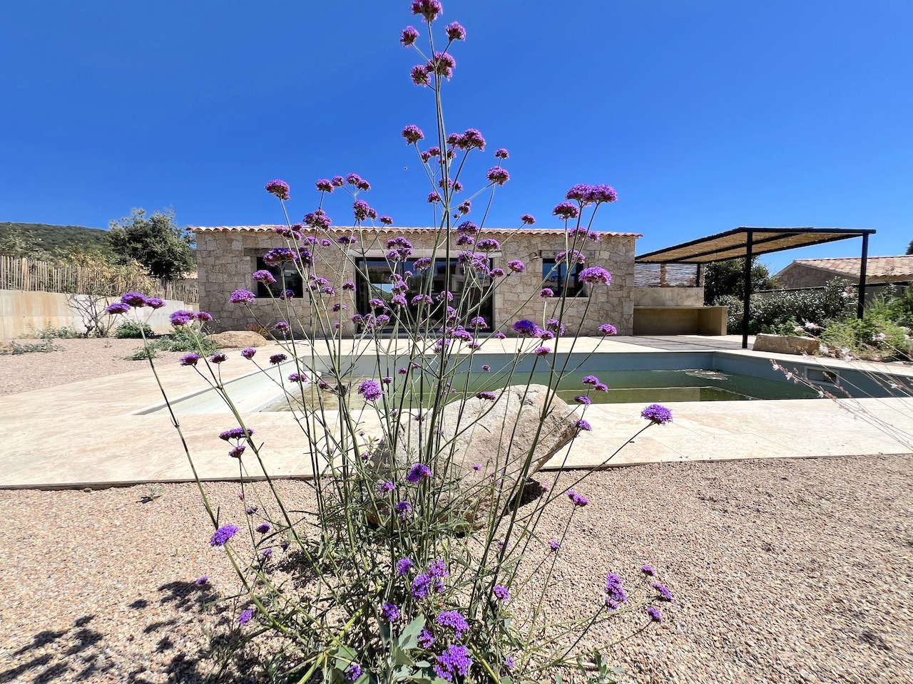 Idéalement placée entre St Cyprien et Pinarello, BERGERIE T-3 NEUVE avec PISCINE et CUISINE d'ÉTÉ sur terrain paysagé.